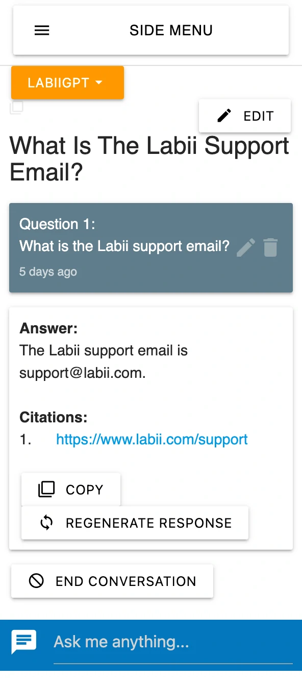 Labii gpt conversation detail
