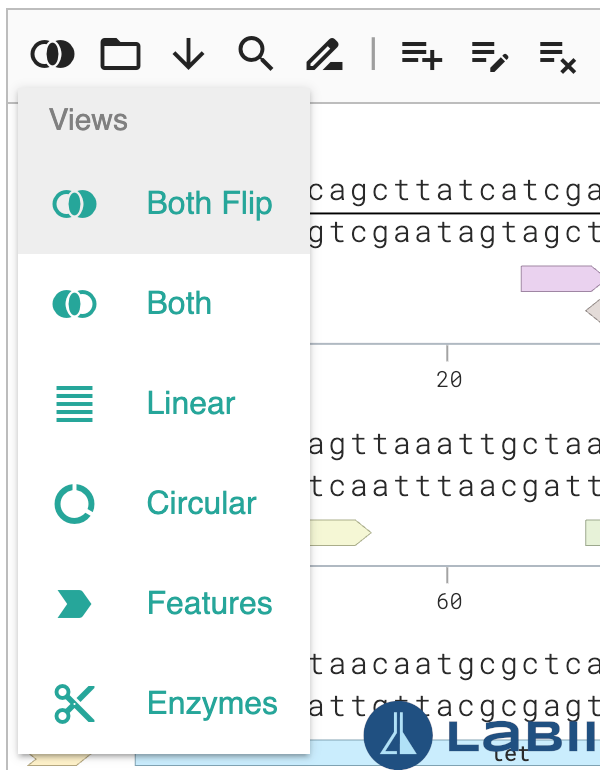 Plasmid Editor 视图选项